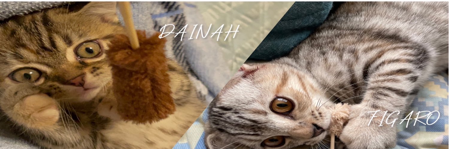 kinghearts666's profile banner image