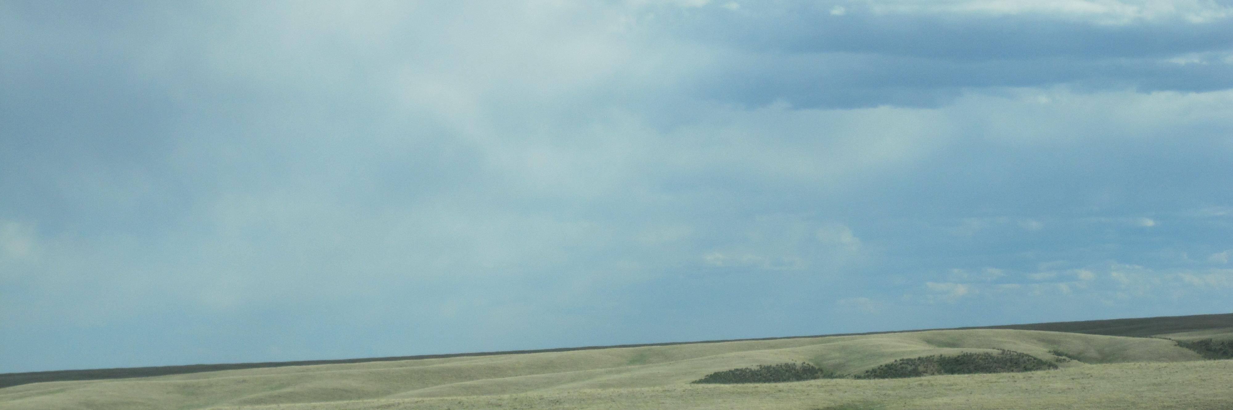 Anne Noyes Saini banner