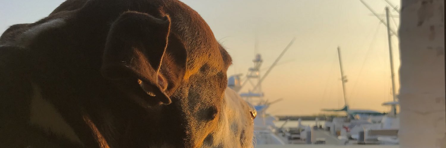 Jackiecvidal's profile banner image