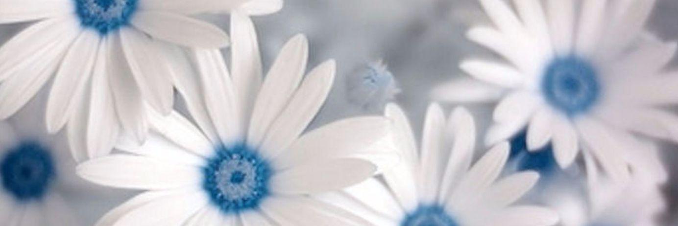 MainaTutt's profile banner image