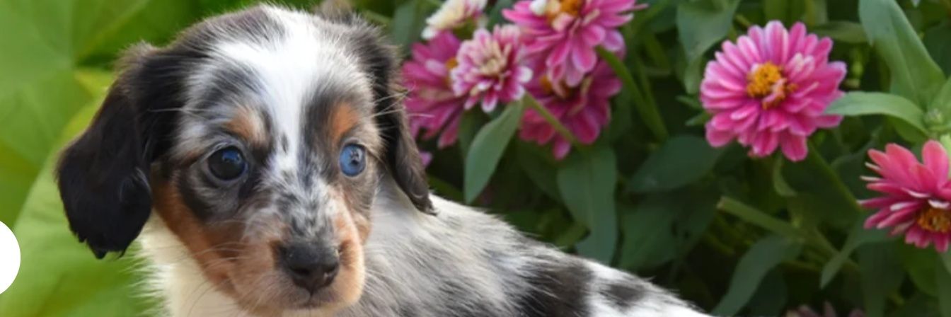 MyOrdinaryLife banner