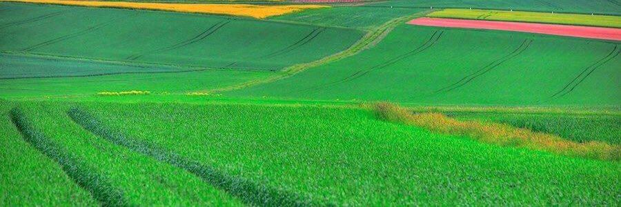 Canito6567's profile banner image