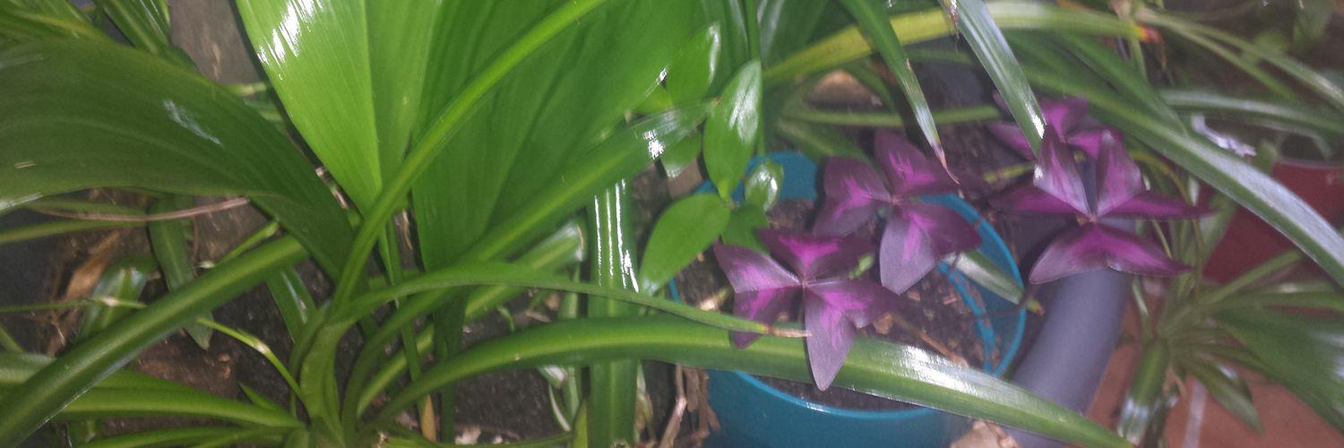 Maite Uceda Bermejo banner