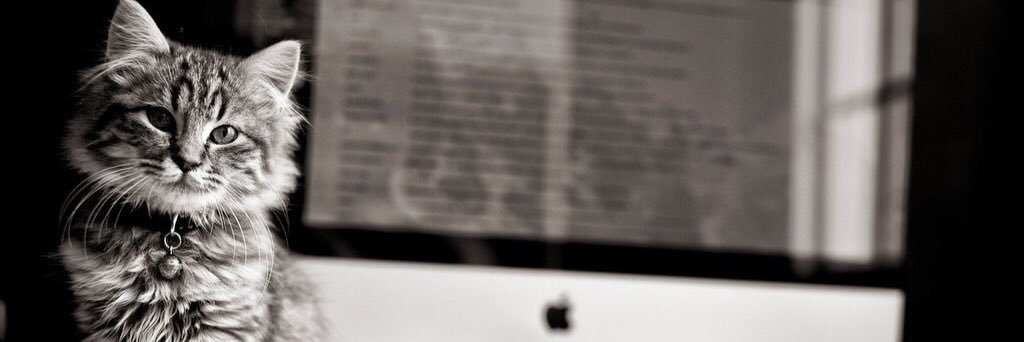 Evgeny banner