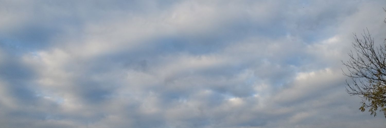 Maria Tatiana 🇵🇱🇺🇦 banner