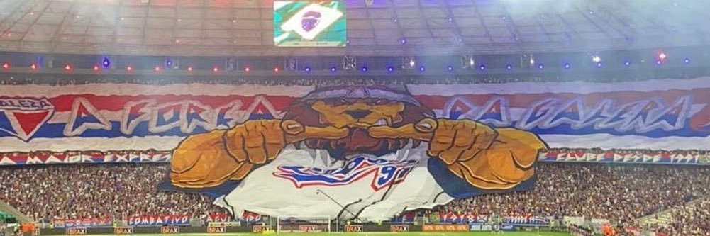 hilnerfeitosa's profile banner image