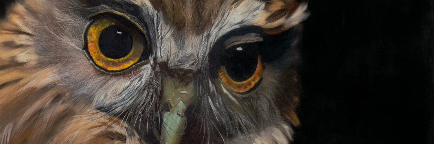 Arts Network Sutton banner