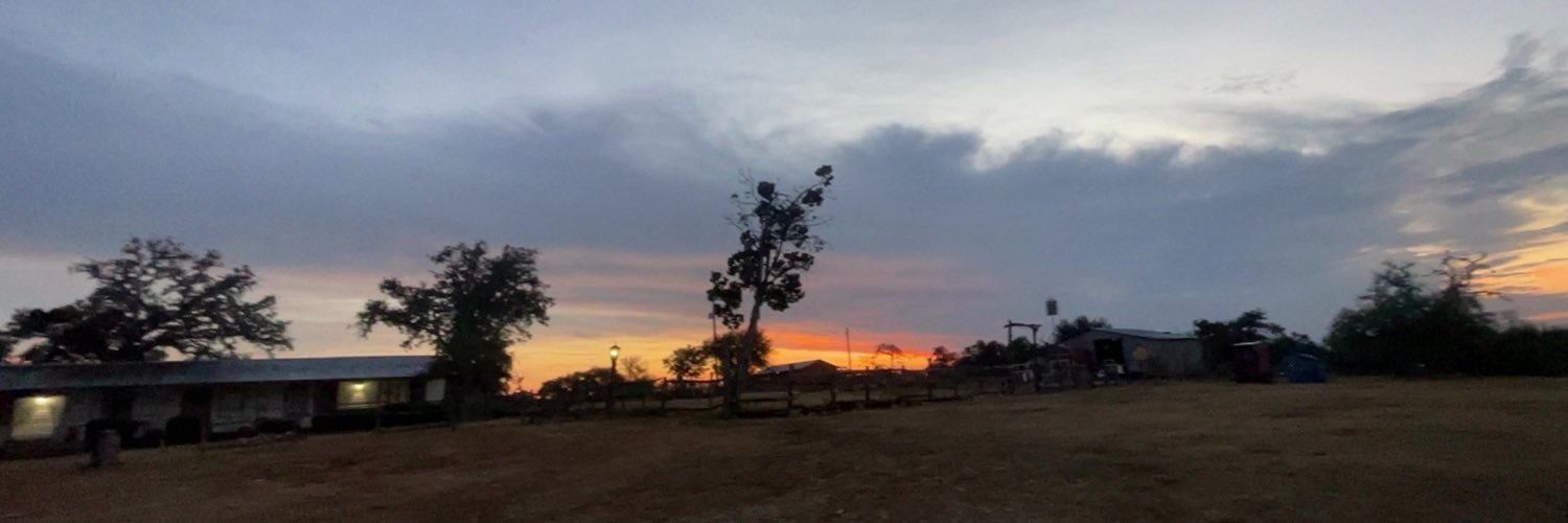 erinmskorr's profile banner image