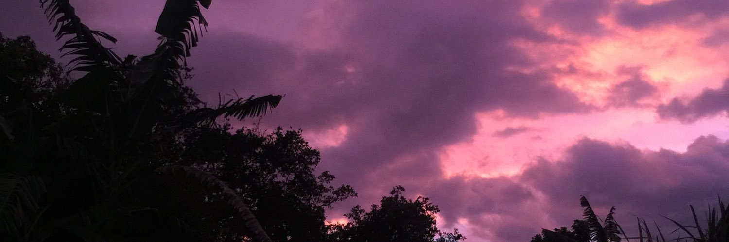 QuimbayoEli's profile banner image