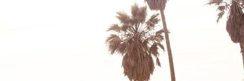 VKAudio's profile banner image