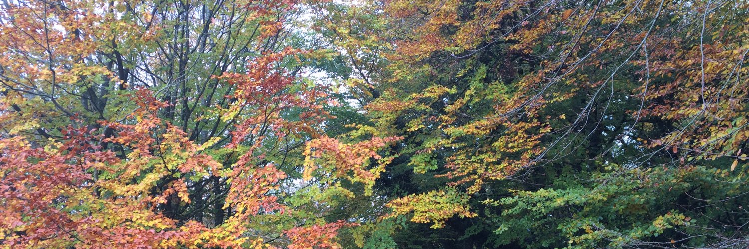 Síobhra Rush banner