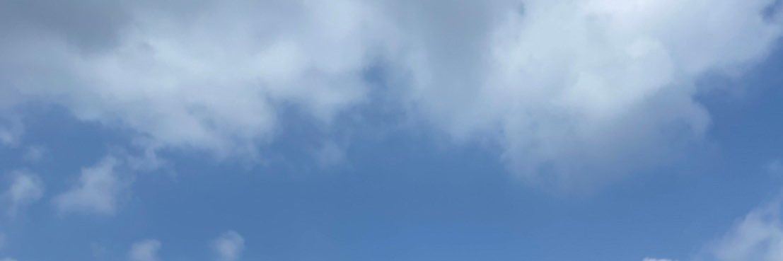 twitwitwis's profile banner image