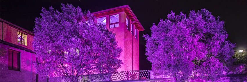 contadicastaldi's profile banner image