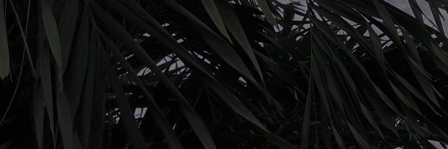 Samescolar's profile banner image