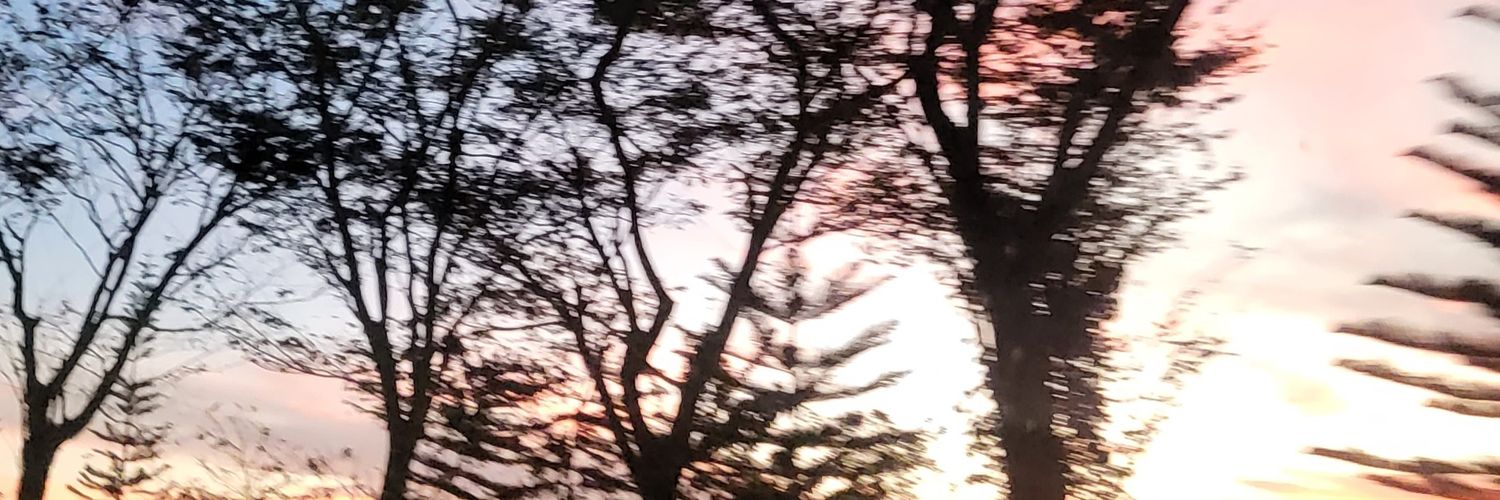 Beejuuuu's profile banner image