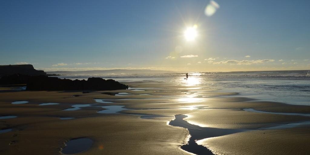 CornishFreeBird's profile banner image