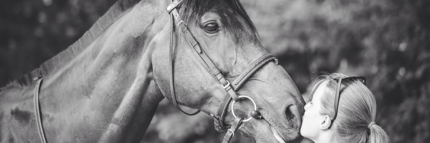 Am_lieMartin's profile banner image