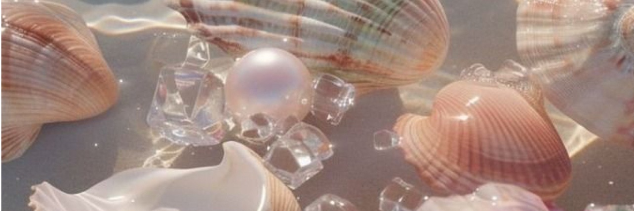 nellzvida's profile banner image