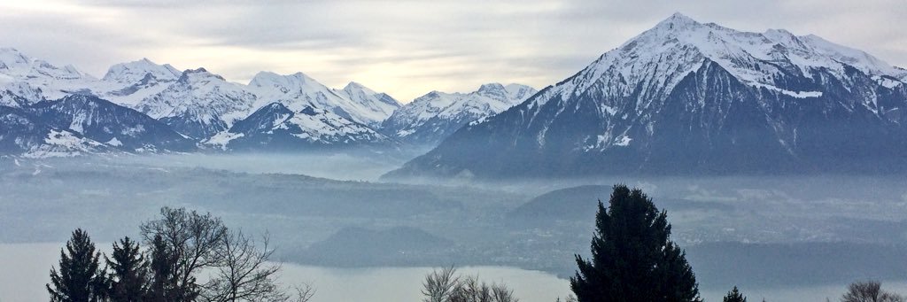 This Rutishauser banner