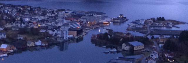 Sølvi Nerem Berg banner