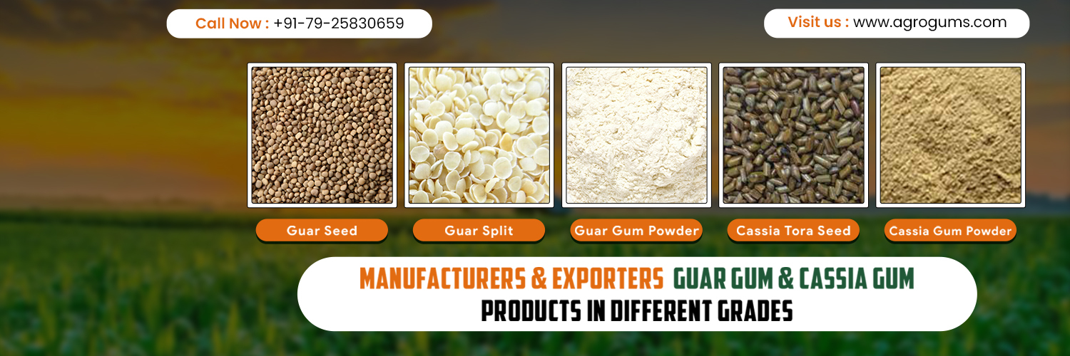 agrogums's profile banner image