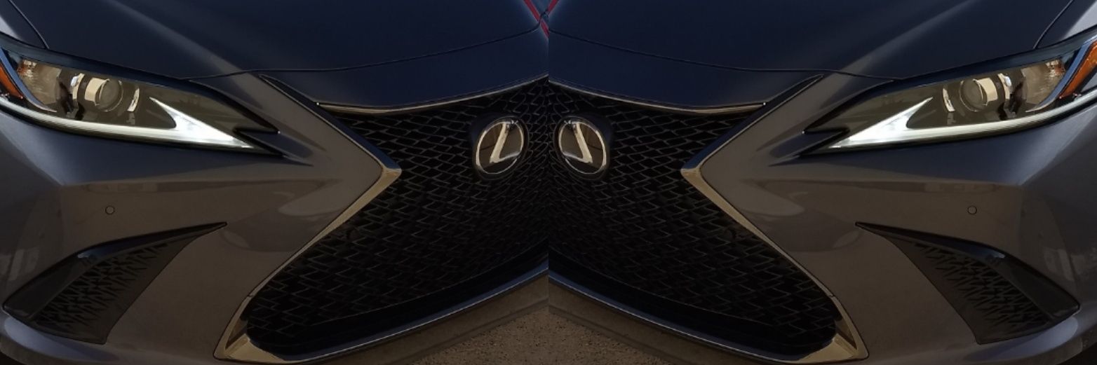 Edward C / MeCavaArt banner