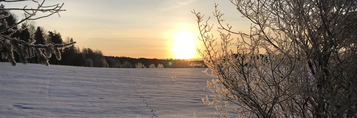 Sami Lundgren banner