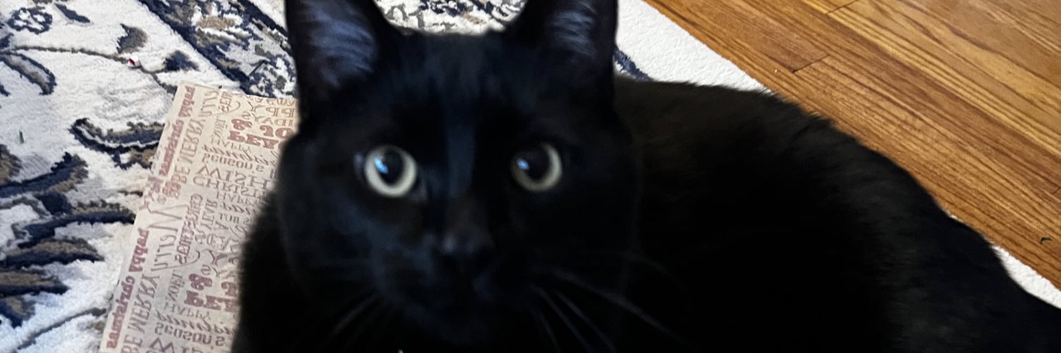 Lady Reaper - Sandy A7 ♓️ banner