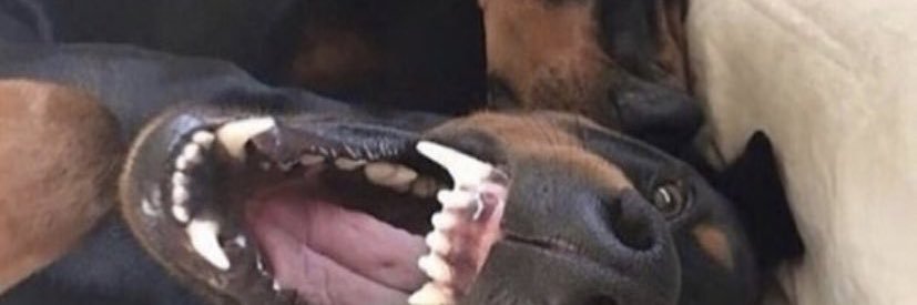 alimrqs's profile banner image
