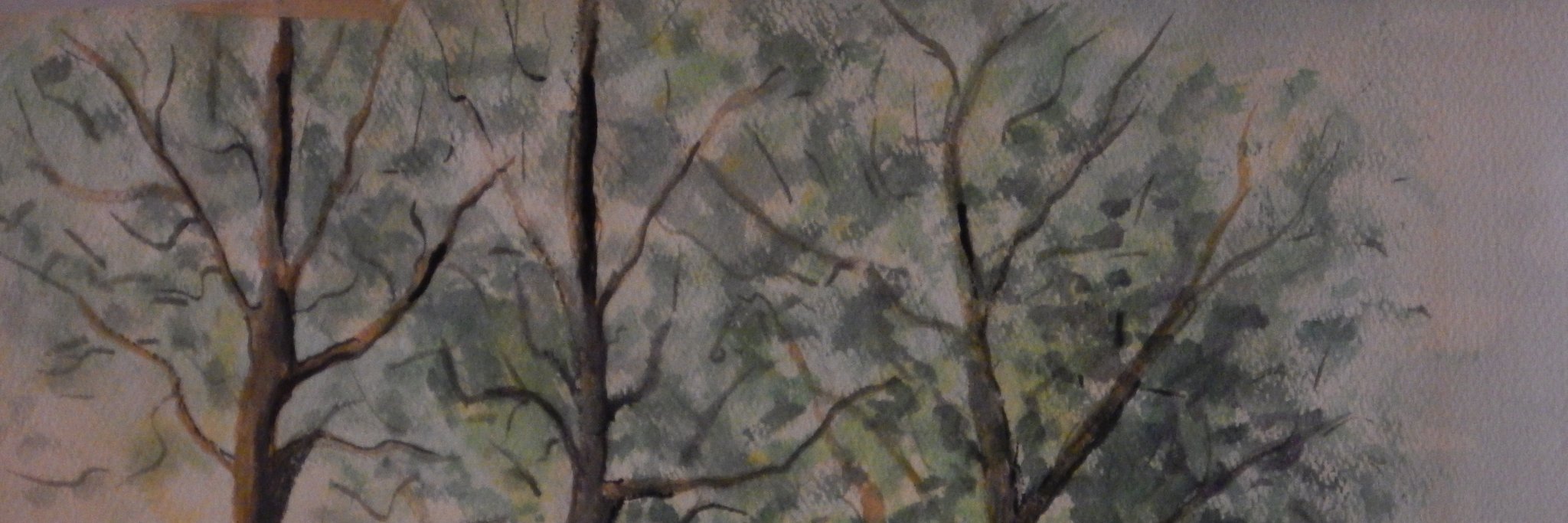suzq's profile banner image
