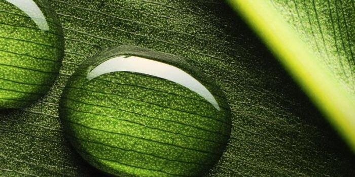 EdgeOfNature's profile banner image