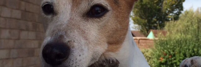 Wheato2's profile banner image