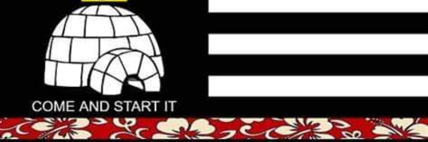 big Ds FedPoasting Boogaloo banner