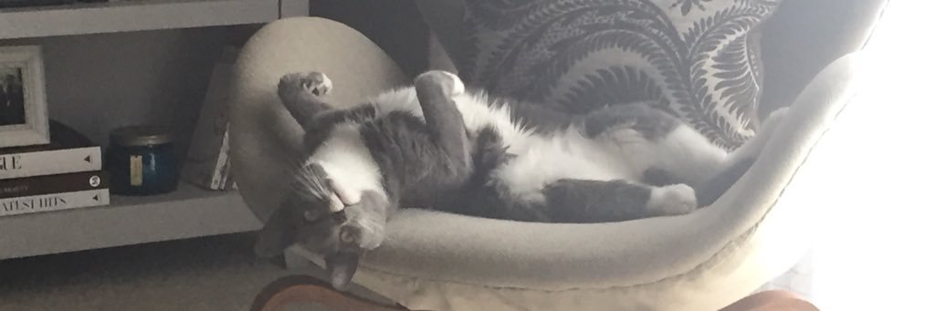 brittmiz's profile banner image