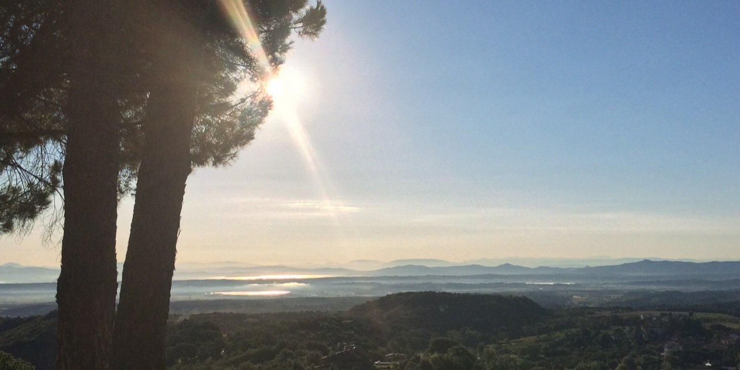 Rachel Doubleday RN DN QN banner