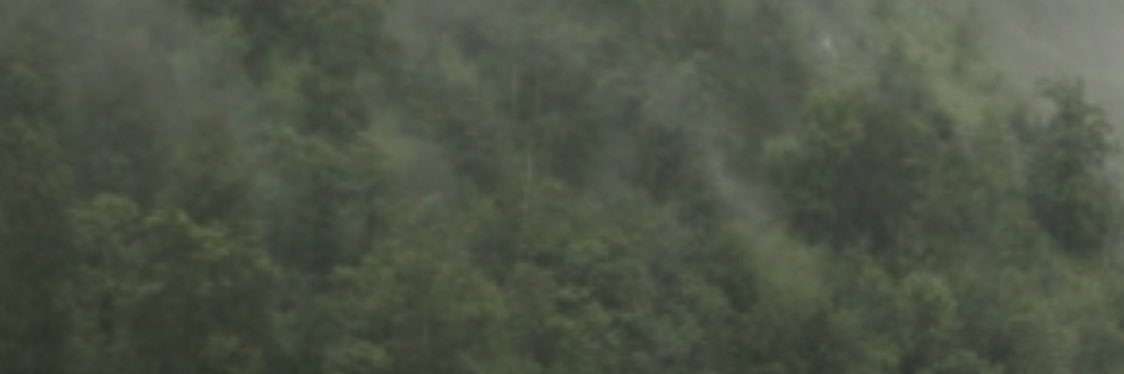 MaxMcKone's profile banner image