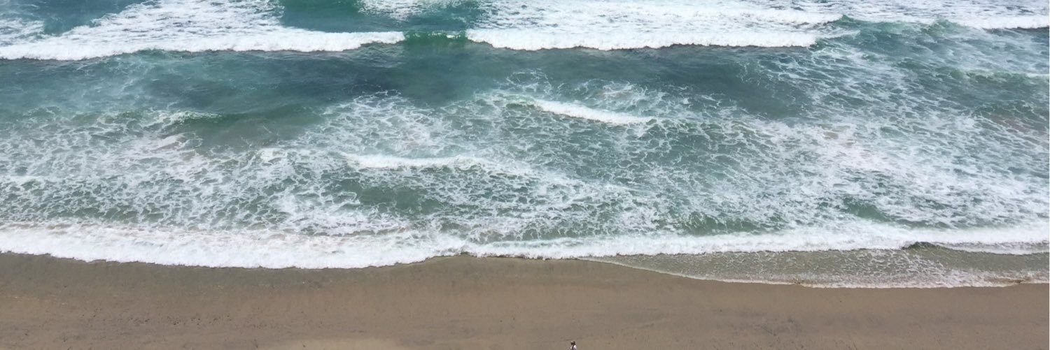 npbear's profile banner image