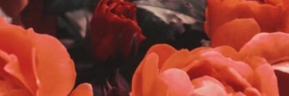 skyekalyo's profile banner image