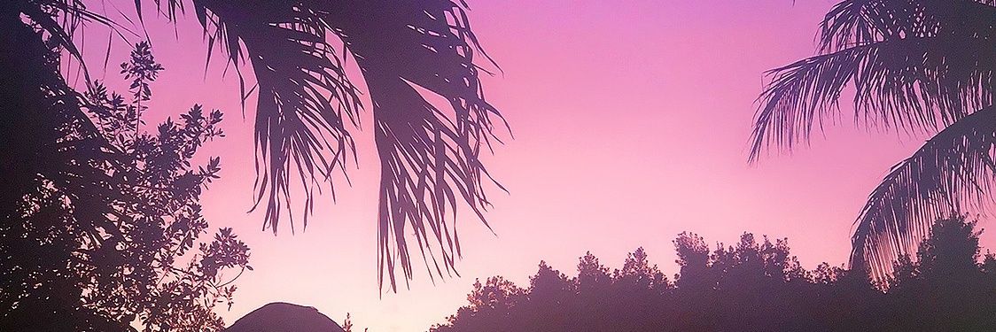 Simpsun_1's profile banner image