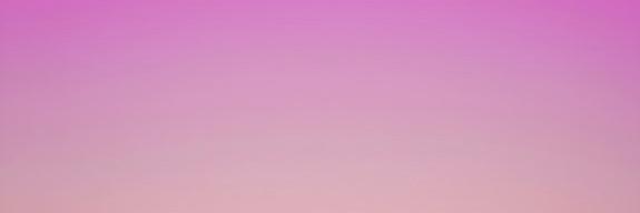 nikkichung's profile banner image