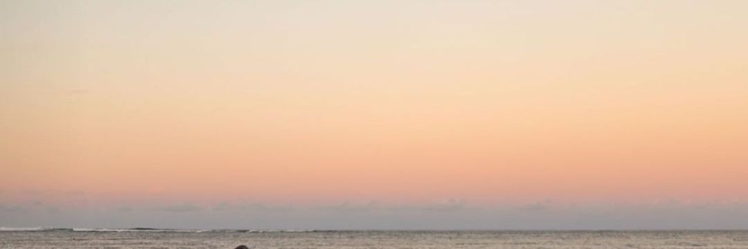 farahouechtati's profile banner image