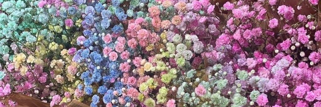 Itzel_Mozz's profile banner image