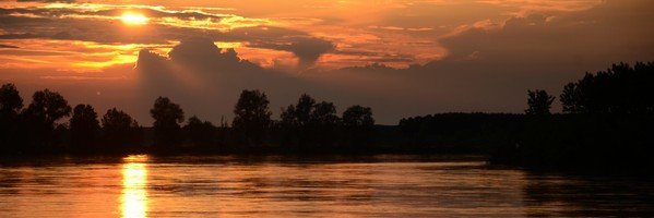 Marco Cavallini banner