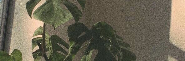 jlv___'s profile banner image
