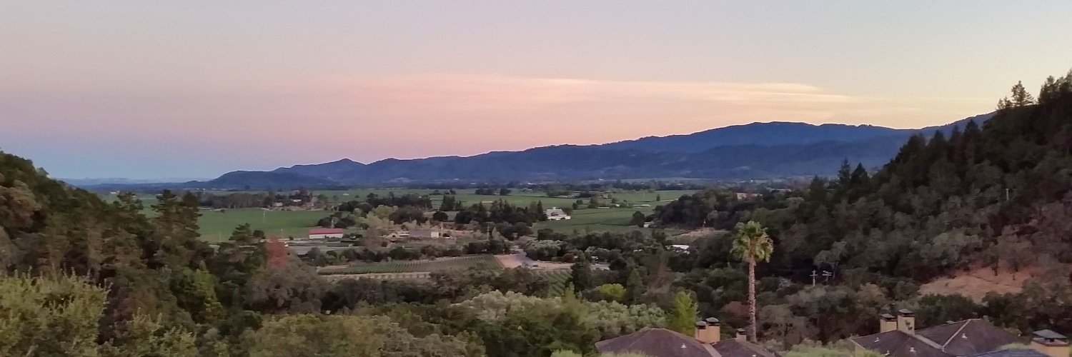TheRealArie's profile banner image