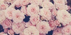 _kimmoller's profile banner image