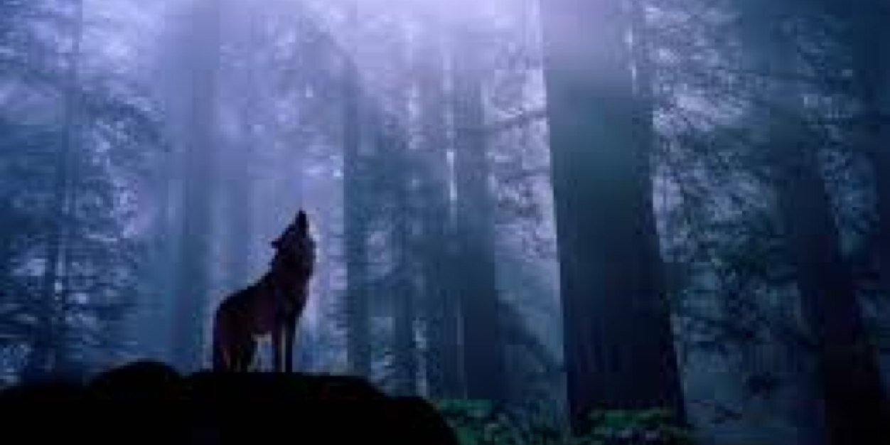 TheRandomBoner banner