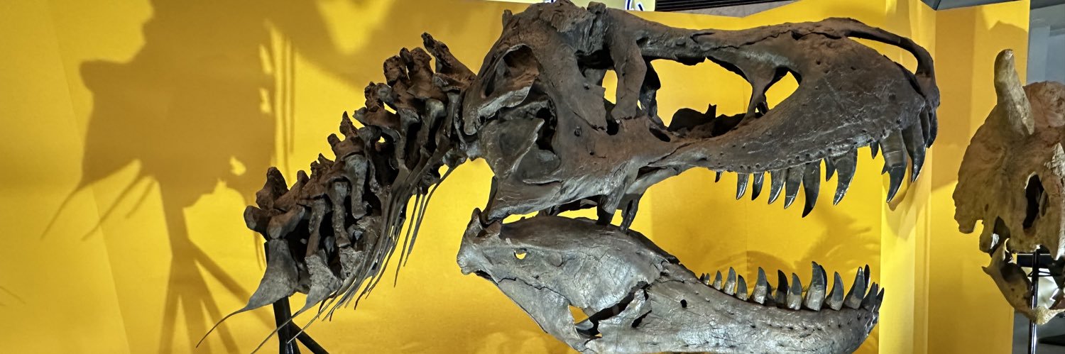 Allossic(あろっぴ)🦖 banner