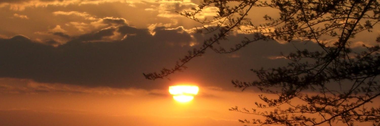 SimpleHope1's profile banner image