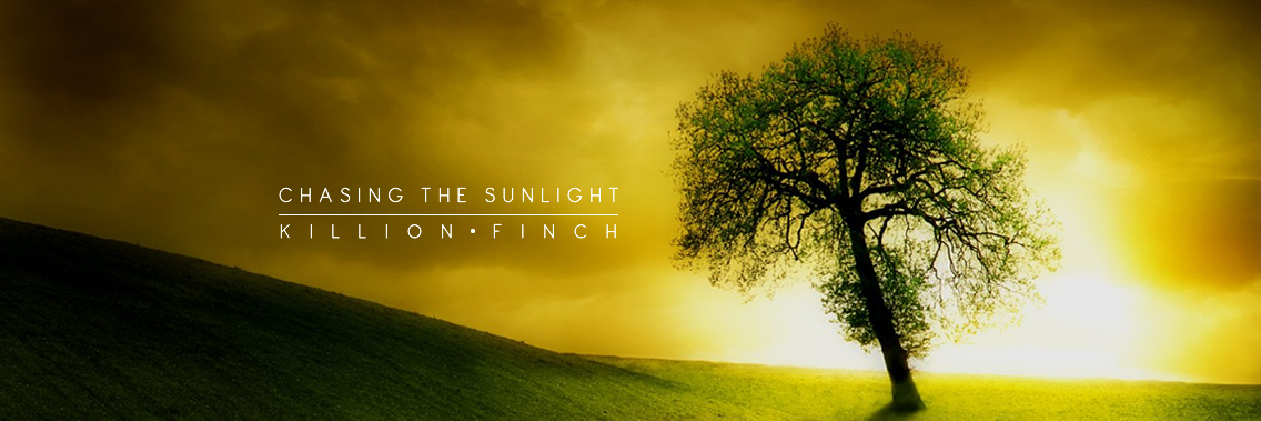 KillionFinch's profile banner image